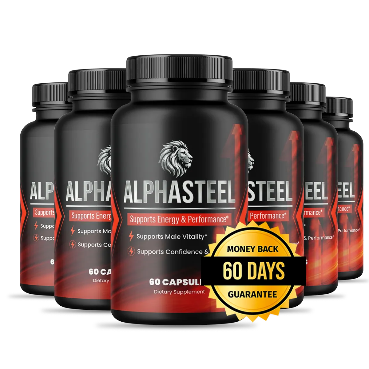 AlphaSteel 6 bottles discount
